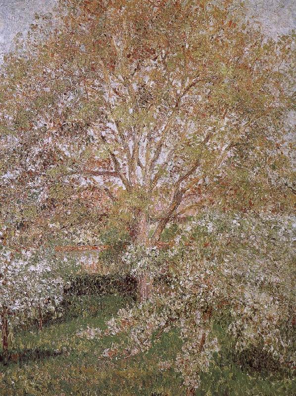 Camille Pissarro Walnut and apple trees china oil painting image